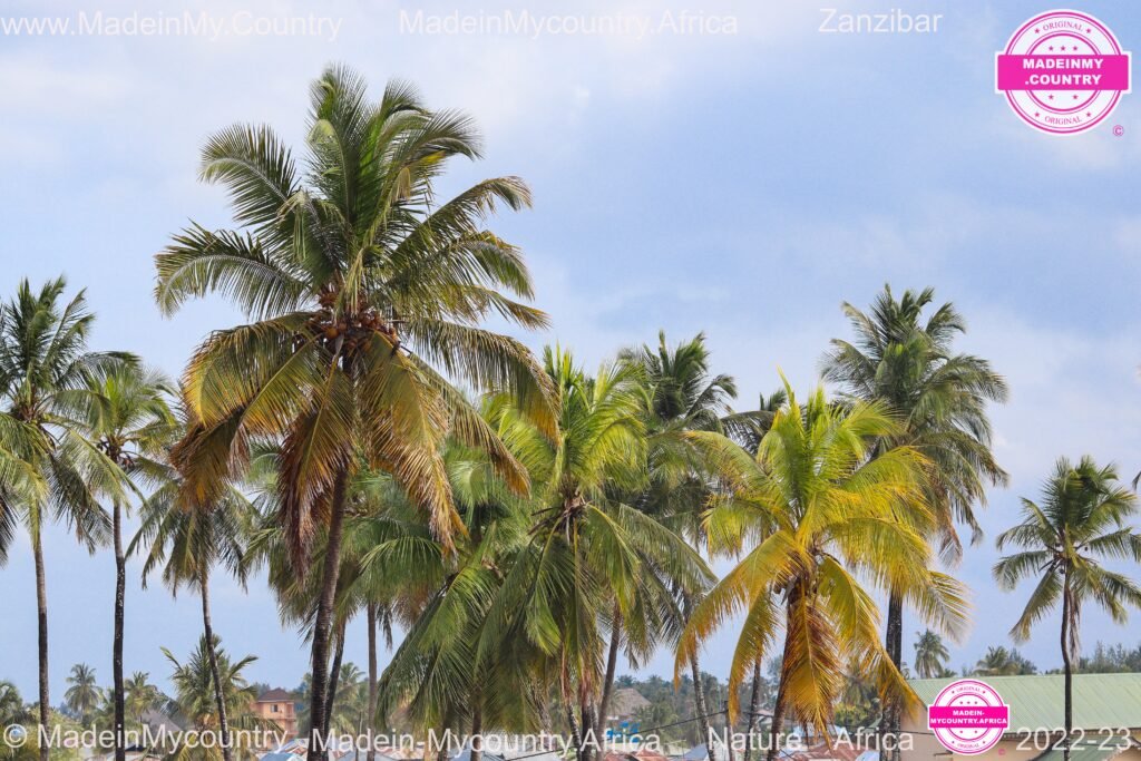 MadeinMycountry-MadeinMycountryAfrica-Africa-Madein-Africa-MadeinMycountryNET-Culture-History-Zanzibar-